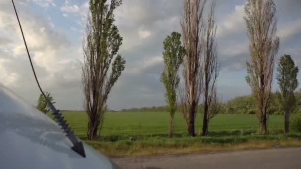 Schüsse aus dem Autofenster — Stockvideo