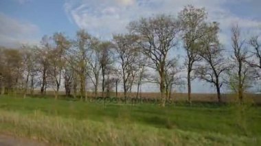 Bir araba penceresinden ateş