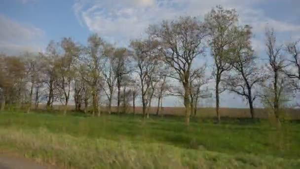 Tir depuis une fenêtre de voiture — Video