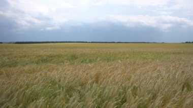 Canavar alanıyla. Ağır çekim