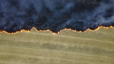 Anız alanında ateş