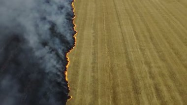 Anız alanında ateş