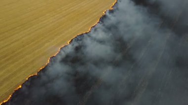 Anız alanında ateş