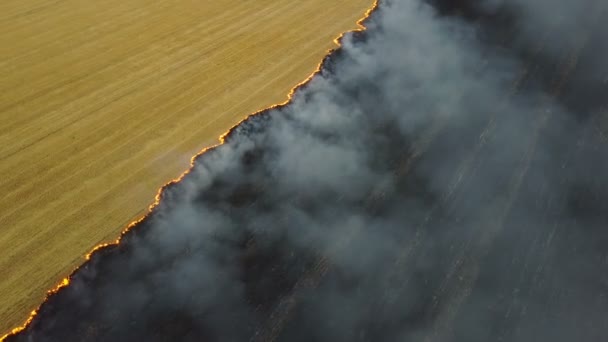 Feu sur le terrain avec du chaume 