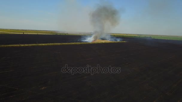 Feu sur le terrain avec du chaume 