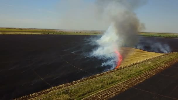 Feu sur le terrain avec du chaume 