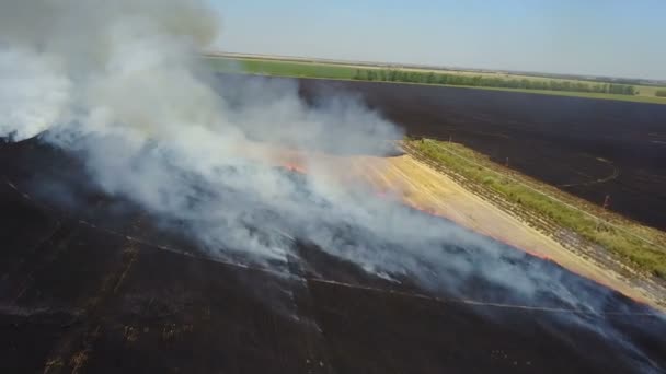 Feu sur le terrain avec du chaume 