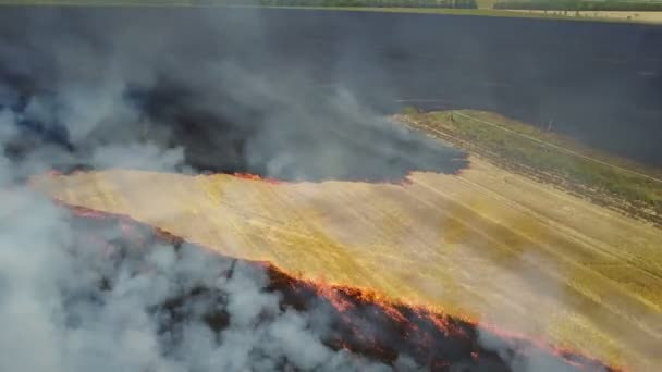 Feu sur le terrain avec du chaume 