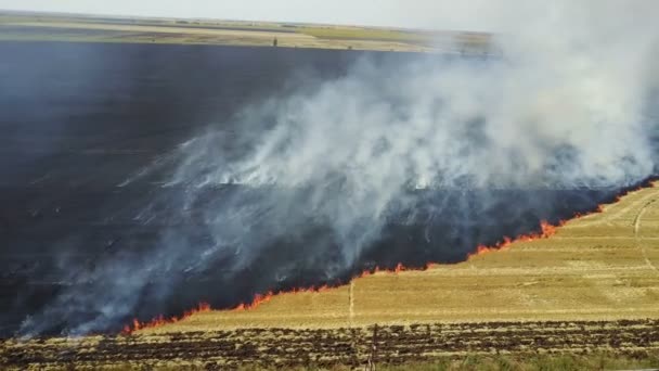 Feu sur le terrain avec du chaume 