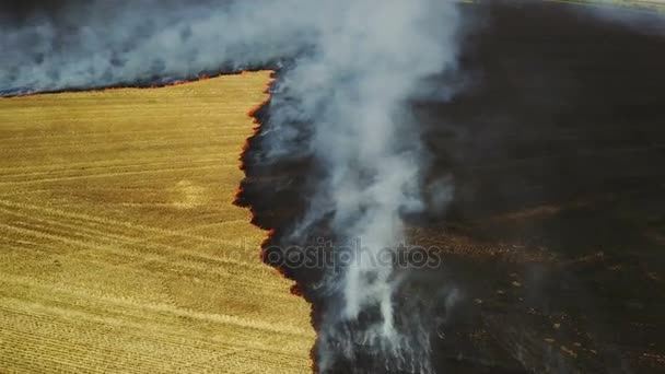 Feu sur le terrain avec du chaume 