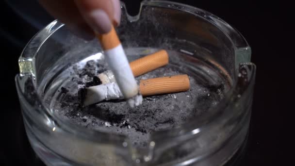Затушите сигарету в пепельнице. — стоковое видео