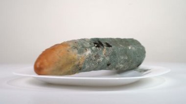 Tabakta küflü beyaz ekmek
