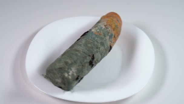 Beschimmeld wit brood in een bord — Stockvideo