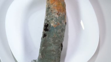 Tabakta küflü beyaz ekmek