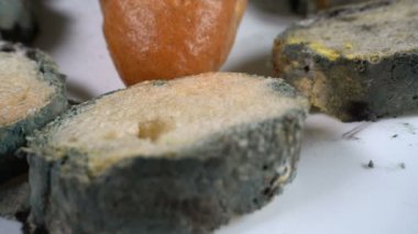Tabakta küflü beyaz ekmek