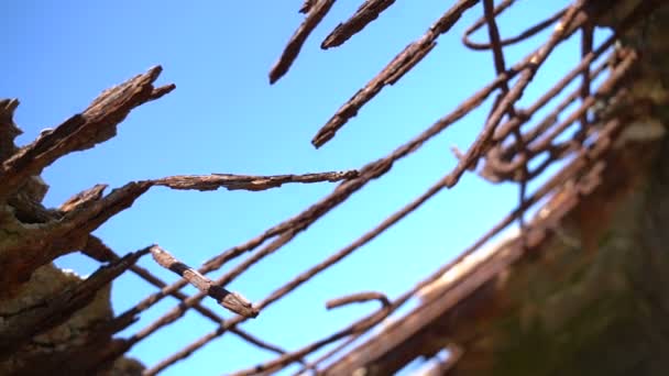 Ancienne structure rouillée au bord de la mer. Mouvement lent — Video