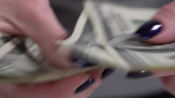 La chica cuenta billetes de dólar. Primer plano — Vídeos de Stock