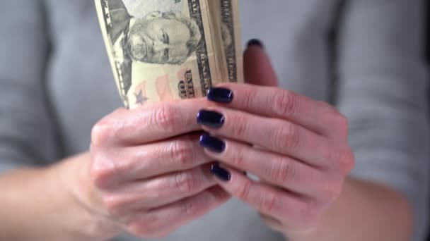 Girl counts dollar bills. Close-up — Stock Video