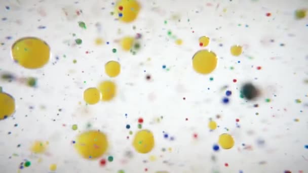 Peintures multicolores à l'huile. Macro shot — Video
