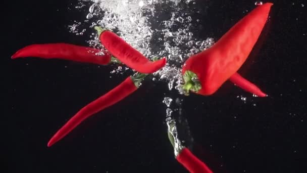 Horké papriky padající do vody. Zpomalený pohyb — Stock video