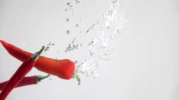 Horké papriky padající do vody. Zpomalený pohyb — Stock video