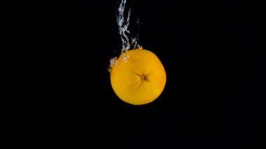 Greyfurt suya düşer. Yavaş çekim 500fps