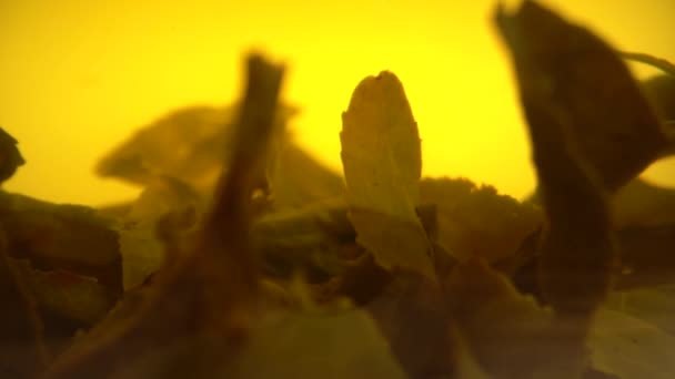 Foglie di tè verde fermentato primo piano — Video Stock