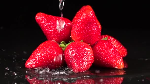 Aardbeien met waterdruppels. Langzame beweging — Stockvideo