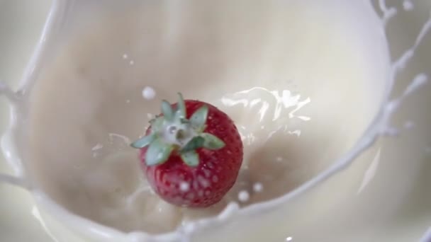 Aardbeien die in melk vallen. Langzame beweging 500fps — Stockvideo
