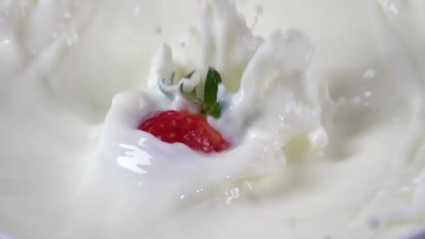 Căpșunile cad în lapte. Mișcare lentă 500fps — Videoclip de stoc