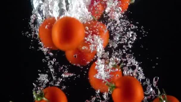 Tomaten fallen ins Wasser. Zeitlupe 250fps — Stockvideo