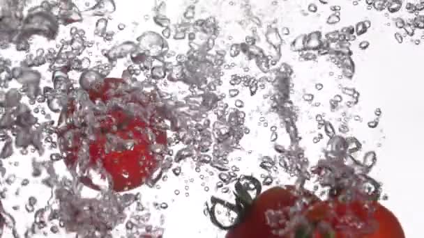 Tomatoes fall into the water. Slow motion 250fps — Stock Video