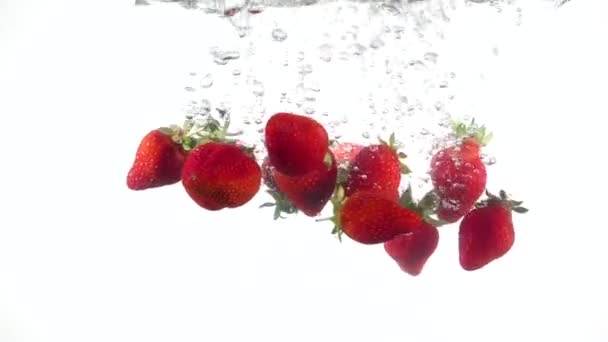 Φράουλα πέφτει στο νερό σε λευκό φόντο — Αρχείο Βίντεο