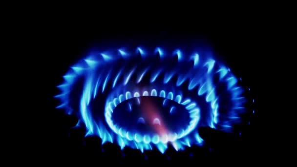 Inflamación de gas natural en el quemador de estufa, vista de cerca sobre fondo oscuro . — Vídeos de Stock