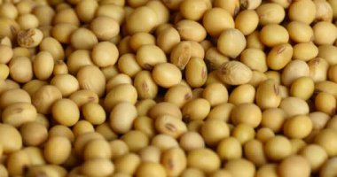 4 k soya fasulye closeup, tohum gıda ham madde, lezzetli yemekler tohum fasulye.