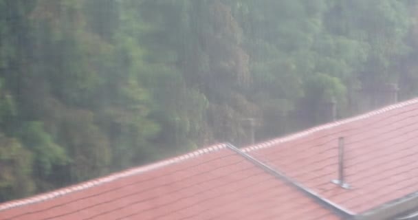 4k Ventana Gotas de lluvia, techo rojo y árbol oscilante . — Vídeos de Stock