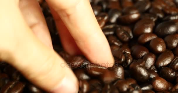 4k pick φασολιών καφέ με το χέρι, ποτά καφεΐνη τρόφιμα υλικό, νόστιμα πιάτα φασολιών — Αρχείο Βίντεο