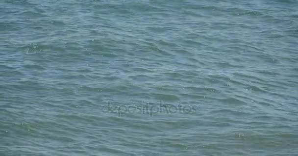 4k vidéo, mer océan vague .