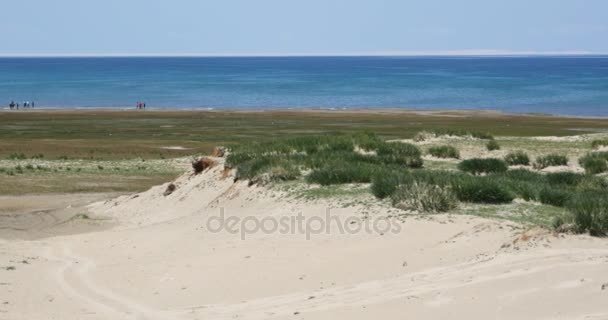 4k woestijn zand duinen met bus, blauwe meer. — Stockvideo