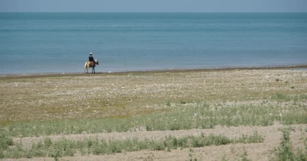 4 k Tibetaanse paardrijden paard in de oever van het meer, de Tibetaanse mansarovar, het Qinghaimeer, China. — Stockvideo
