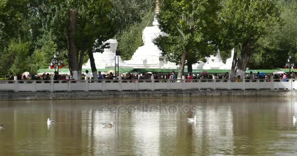 China-Sep 16,2016: 4k tibet personas giran ruedas de oración budista girando, Potala & stupa blanca, lago — Vídeo de stock