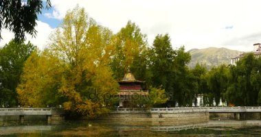 Sonbahar, Tibet Çin, altın ağaçlar ve göl tapınakta 4 k Lhasa Potala park.