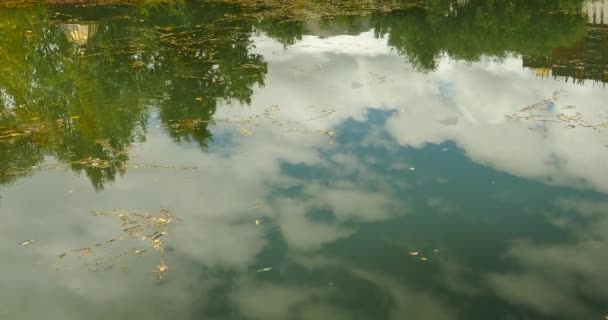 Árbol 4k y nube reflejan en el lago, Tibet china . — Vídeo de stock