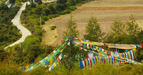 4 k 祈祷旗帜，在西藏拉萨山上. — 图库视频影像