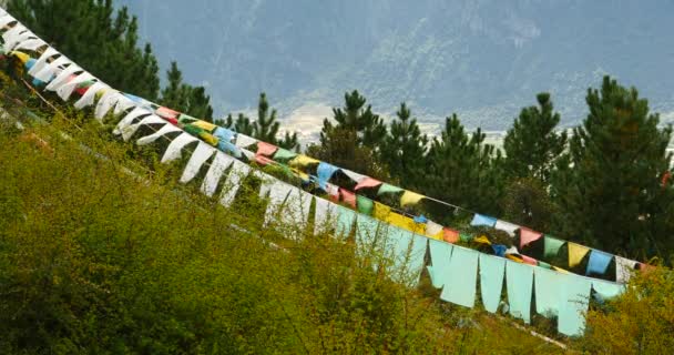 4k Gebetsfahne auf dem Lhasa Berg, Tibet. — Stockvideo