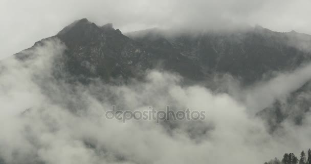 Brume de montagne 4k se levant le matin, pins brumeux, comté de Bomi au Tibet . — Video