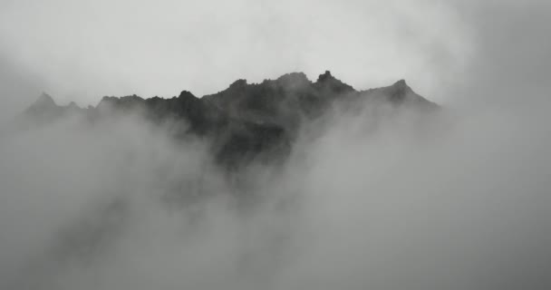 4k mountain mist rising in the morning,fog pine trees,Bomi County in tibet. — Stock Video