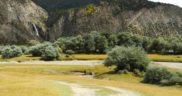 4k Cascada que fluye en el valle, arbusto en la comida de la montaña en el Tíbet . — Vídeo de stock