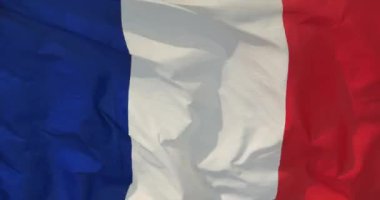 4k Fransa bayrağı rüzgarda Durian Dragon.