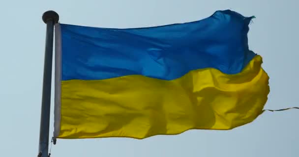 4 k Ukraina flagga fladdrar i vinden. — Stockvideo